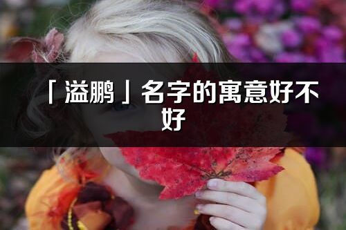 「溢鹏」名字的寓意好不好_溢鹏含义分析