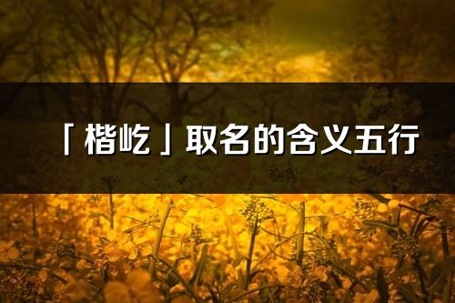 「楷屹」取名的含义五行_楷屹名字寓意解释