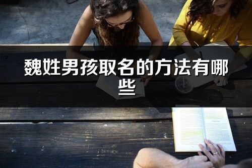 魏姓男孩取名的方法有哪些