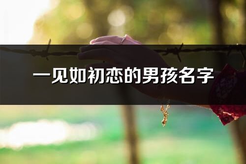 一见如初恋的男孩名字