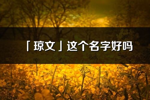 「琼文」这个名字好吗_琼文名字寓意,含义