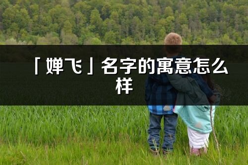 「婵飞」名字的寓意怎么样_婵飞的出处