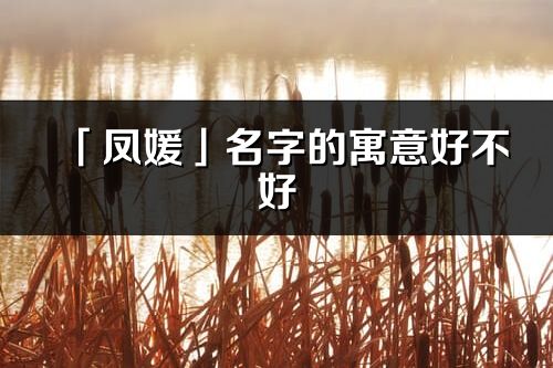 「凤媛」名字的寓意好不好_凤媛含义分析