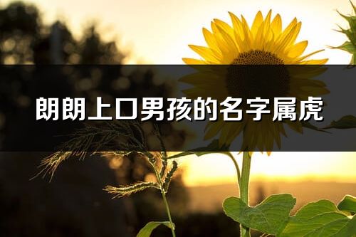 朗朗上口男孩的名字属虎