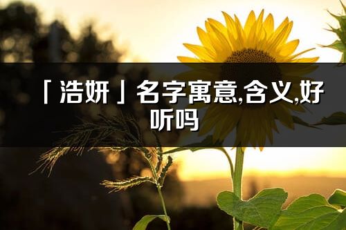 「浩妍」名字寓意,含义,好听吗_浩妍名字分析打分