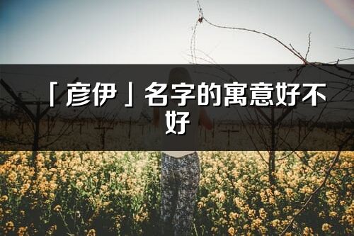 「彦伊」名字的寓意好不好_彦伊含义分析