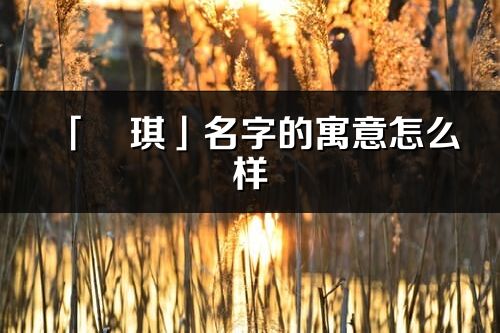 「璟琪」名字的寓意怎么样_璟琪的出处