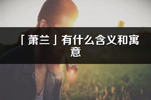 「萧兰」有什么含义和寓意_萧兰名字的出处与意思