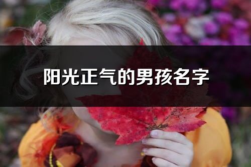阳光正气的男孩名字