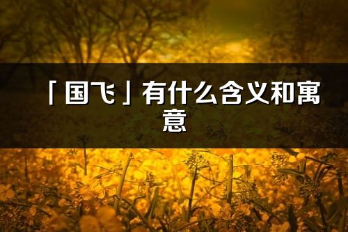 「国飞」有什么含义和寓意_国飞名字的出处与意思