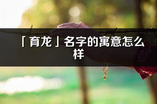 「育龙」名字的寓意怎么样_育龙的出处