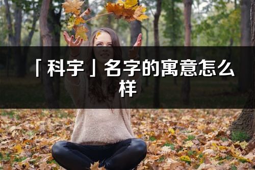 「科宇」名字的寓意怎么样_科宇的出处