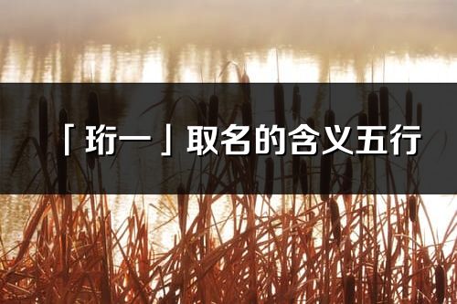 「珩一」取名的含义五行_珩一名字寓意解释
