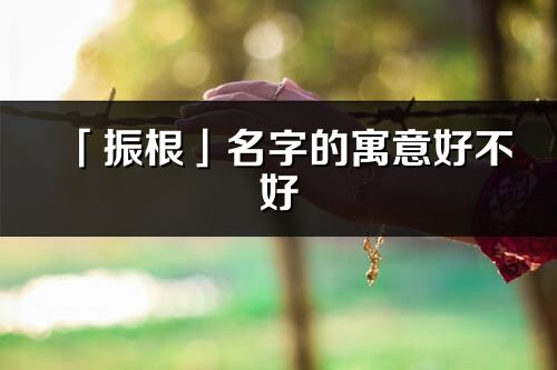 「振根」名字的寓意好不好_振根含义分析