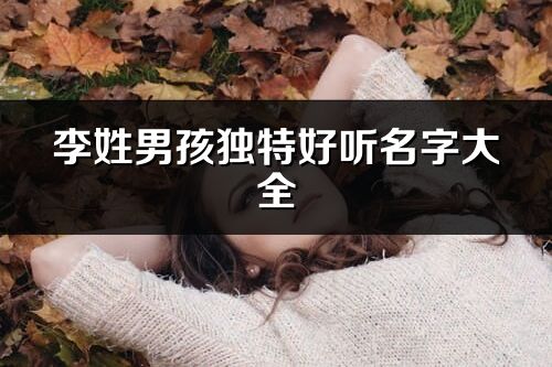李姓男孩独特好听名字大全