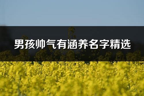 男孩帅气有涵养名字精选