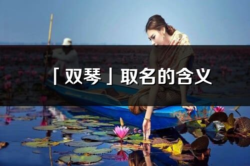 「双琴」取名的含义_双琴名字寓意解释