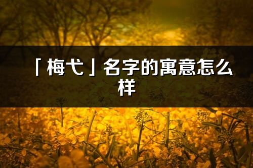 「梅弋」名字的寓意怎么样_梅弋的出处