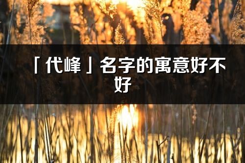 「代峰」名字的寓意好不好_代峰含义分析