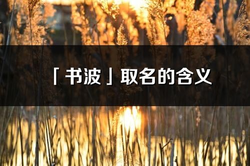 「书波」取名的含义_书波名字寓意