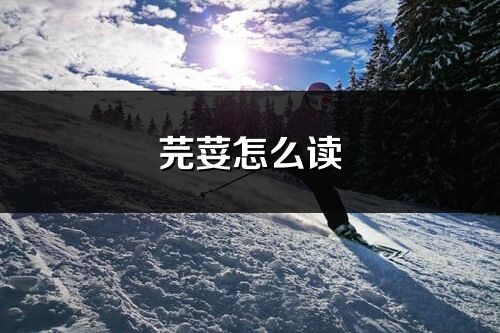 芫荽怎么读_芫荽的读音