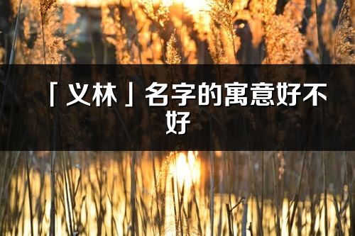 「义林」名字的寓意好不好_义林含义分析