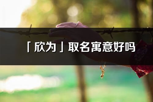 「欣为」取名寓意好吗_欣为名字含义及寓意