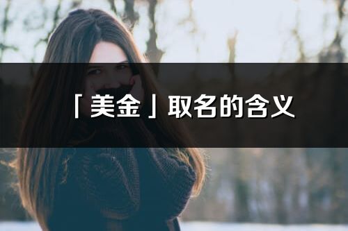 「美金」取名的含义_美金名字寓意