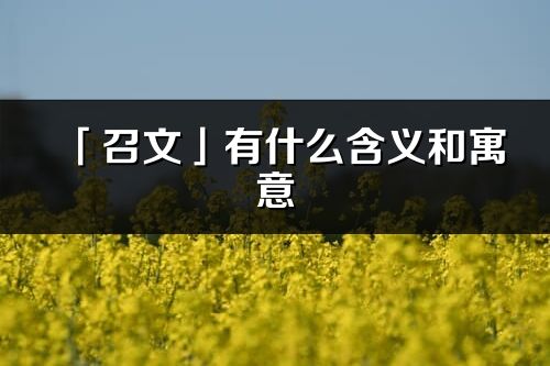 「召文」有什么含义和寓意_召文名字的出处与意思