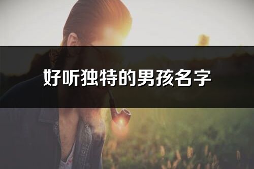 好听独特的男孩名字