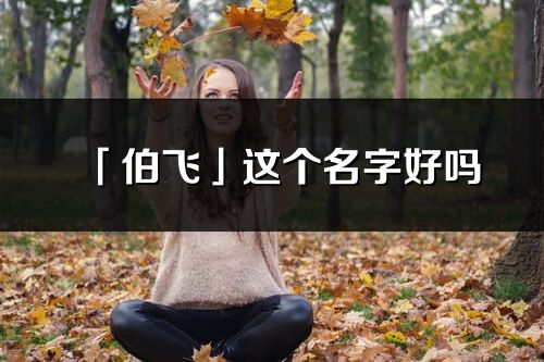 「伯飞」这个名字好吗_伯飞名字寓意,含义