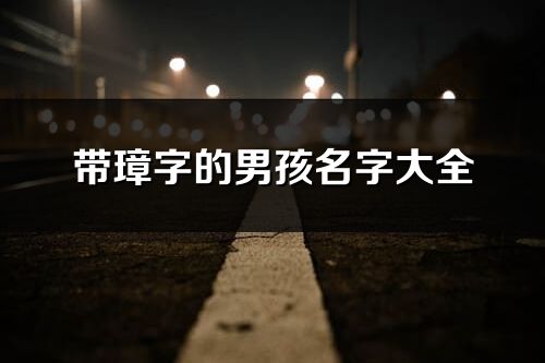 带璋字的男孩名字大全