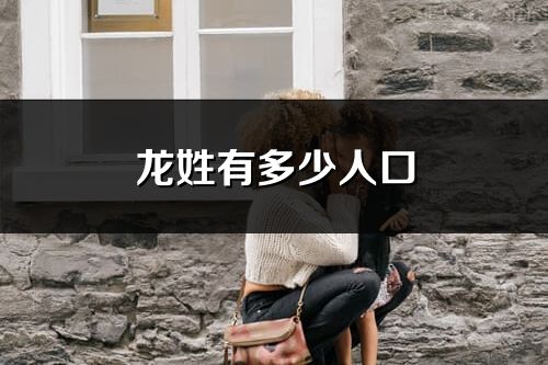 龙姓有多少人口_龙姓起源及分布