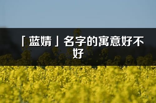 「蓝婧」名字的寓意好不好_蓝婧含义分析