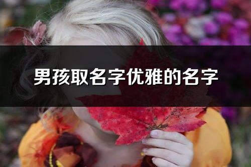 男孩取名字优雅的名字