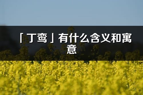 「丁鸾」有什么含义和寓意_丁鸾名字的出处与意思