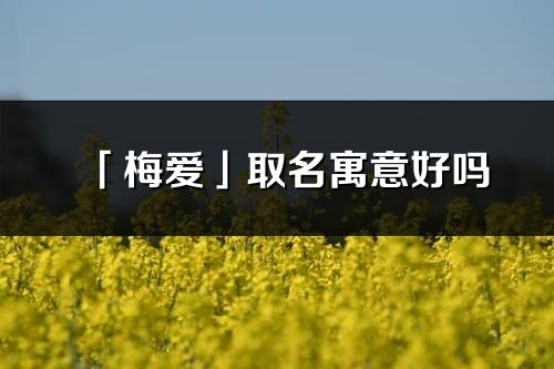 「梅爱」取名寓意好吗_梅爱名字含义及寓意