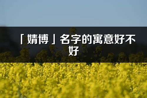 「婧博」名字的寓意好不好_婧博含义分析