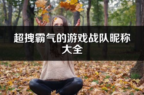 超拽霸气的游戏战队昵称大全(180个)
