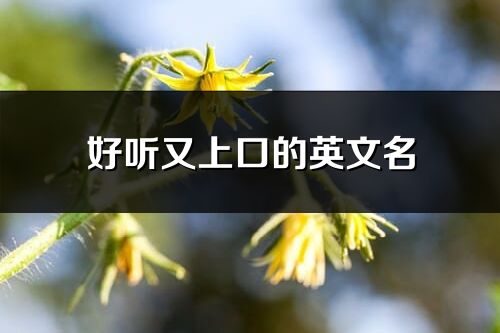 好听又上口的英文名(共81个)
