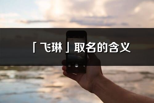 「飞琳」取名的含义_飞琳名字寓意