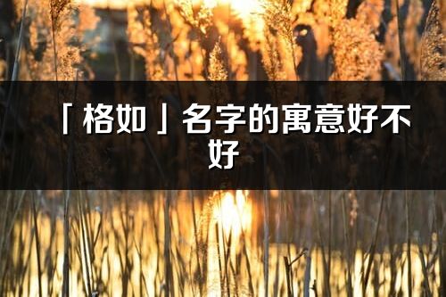 「格如」名字的寓意好不好_格如含义分析