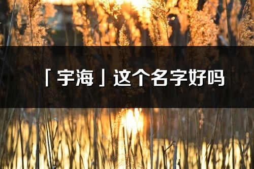 「宇海」这个名字好吗_宇海名字寓意,含义