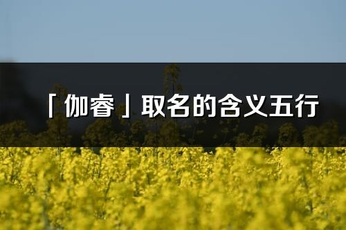 「伽睿」取名的含义五行_伽睿名字寓意解释