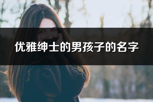 优雅绅士的男孩子的名字