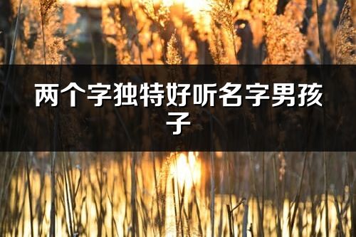 两个字独特好听名字男孩子