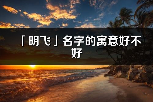 「明飞」名字的寓意好不好_明飞含义分析