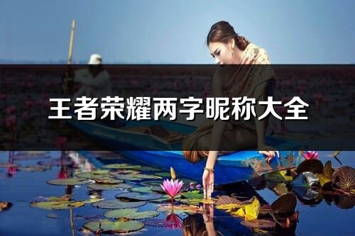 王者荣耀两字昵称大全(541个)