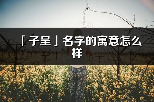 「子呈」名字的寓意怎么样_子呈的出处