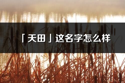 「天田」这名字怎么样_天田的名字解释